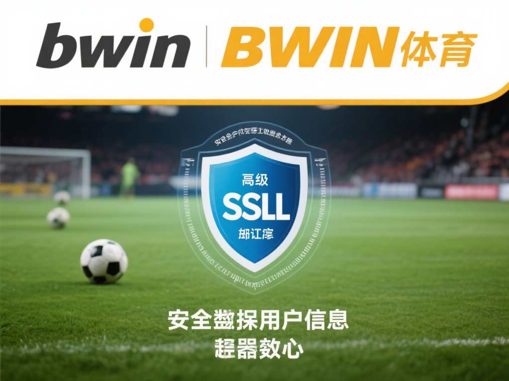 深入解析bwin必赢体育(中国)官网用户体验与安全保障措施
